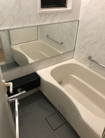 ファミール芝公園グランスイートラ・ヴィルの物件内観写真